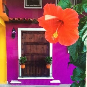 Meet your Posher, Hilda